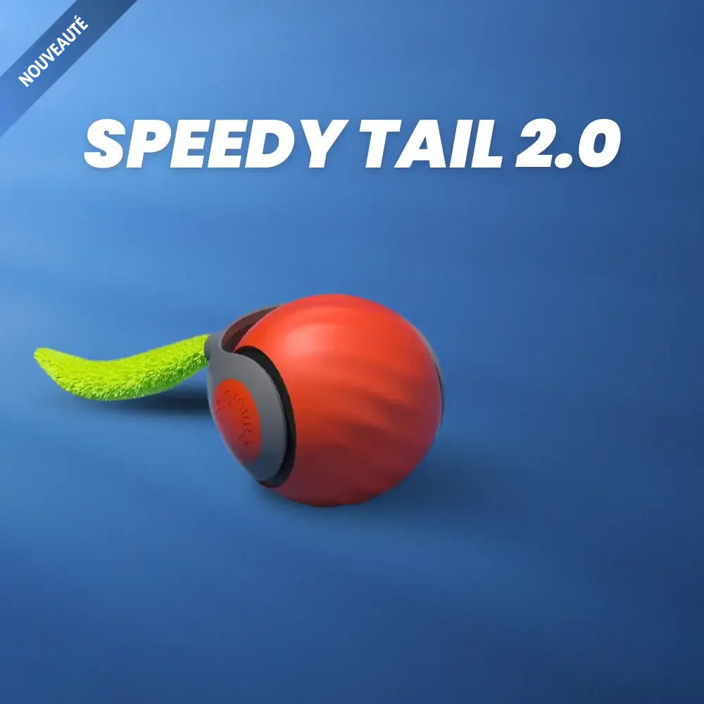 Speedy Cat - Jouets interactifs pour chats