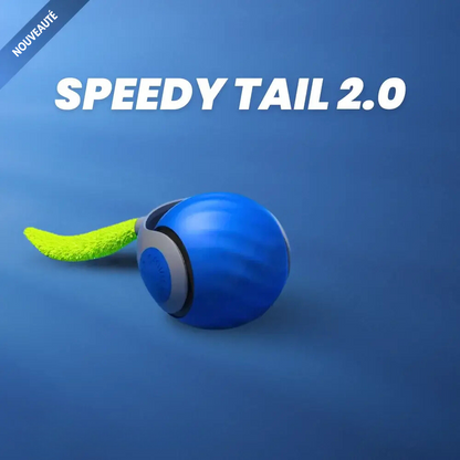 Speedy Cat - Jouets interactifs pour chats