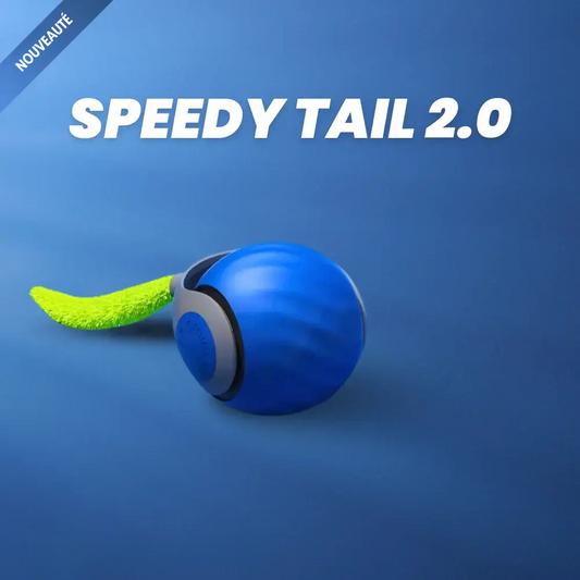 Speedy Cat - Jouets interactifs pour chats